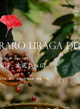 咖啡豆埃塞俄比亚Ethiopia绮洛Dega水洗G1 浅烘焙新鲜花果香清甜