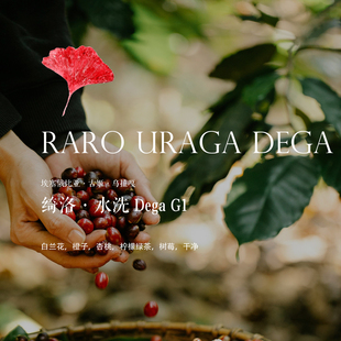 咖啡豆埃塞俄比亚Ethiopia绮洛Dega水洗G1 浅烘焙新鲜花果香清甜