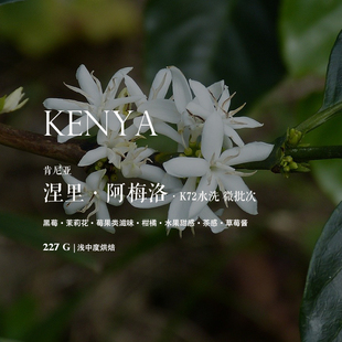 浅中度烘焙SL28 咖啡豆下单烘焙 肯尼亚Kenya涅里阿梅洛微批次