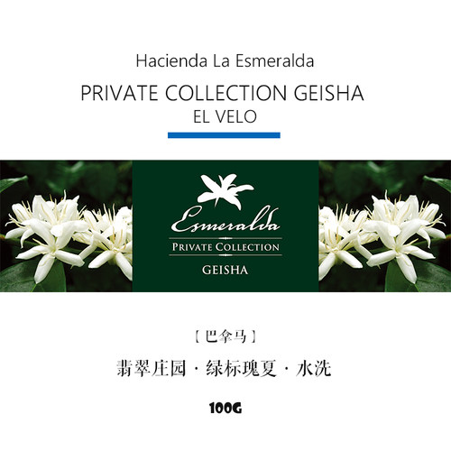 熟豆巴拿马绿标瑰夏Geisha水洗
