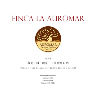 咖啡豆新鲜烘焙巴拿马Panama极光庄园瑰夏日晒 卡塔丽娜 Geisha