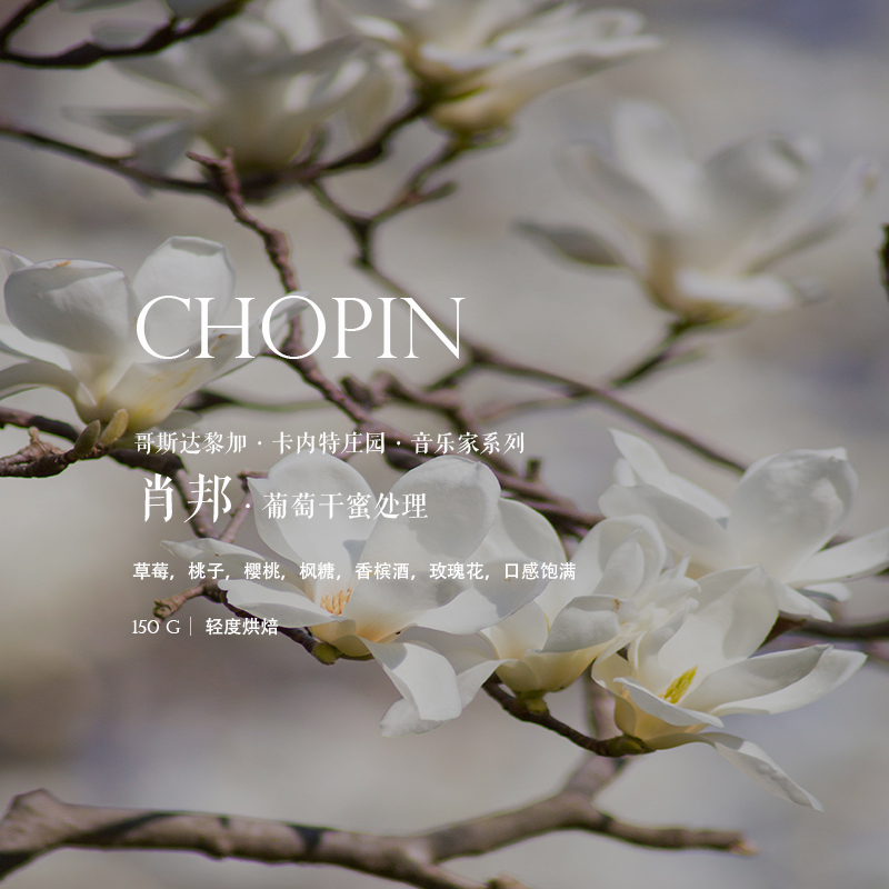 咖啡豆下单烘焙哥斯达黎加音乐家系列肖邦Chopin葡萄干蜜处理浅烘