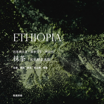 咖啡熟豆埃塞俄比亚抹茶酵素水洗