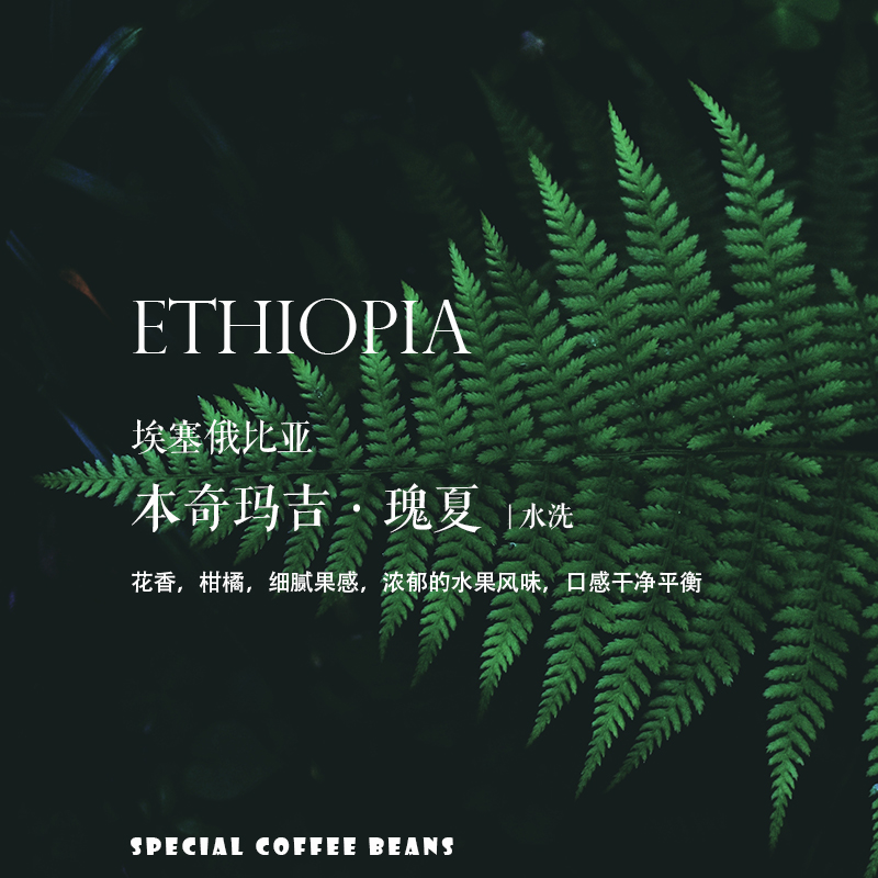 咖啡豆下单烘焙埃塞俄比亚Ethiopia本奇玛吉Bench Maji瑰夏水洗-封面