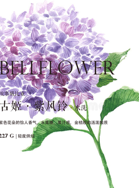 咖啡豆下单烘焙 埃塞俄比亚Ethiopia古姬Guji 紫风铃 水洗G1 浅烘