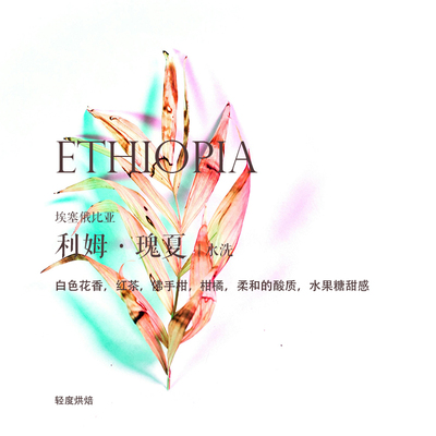 咖啡熟豆埃塞俄比亚利姆瑰夏水洗