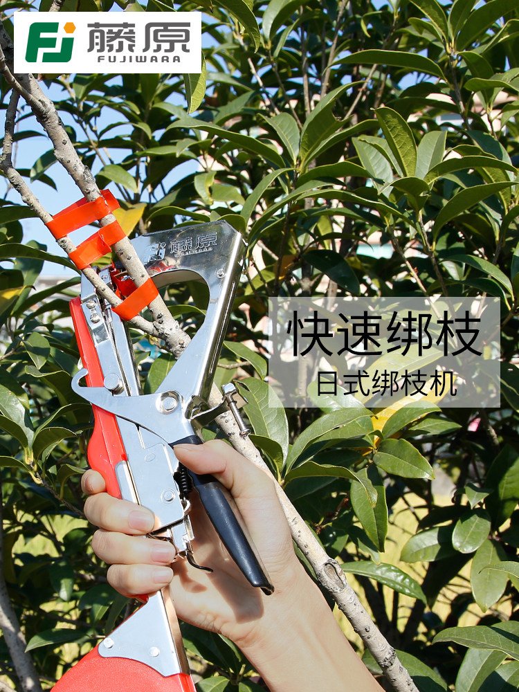 藤原绑枝机固定胶带捆绑机西红柿黄瓜葡萄树苗绑蔓器扎条捆枝机