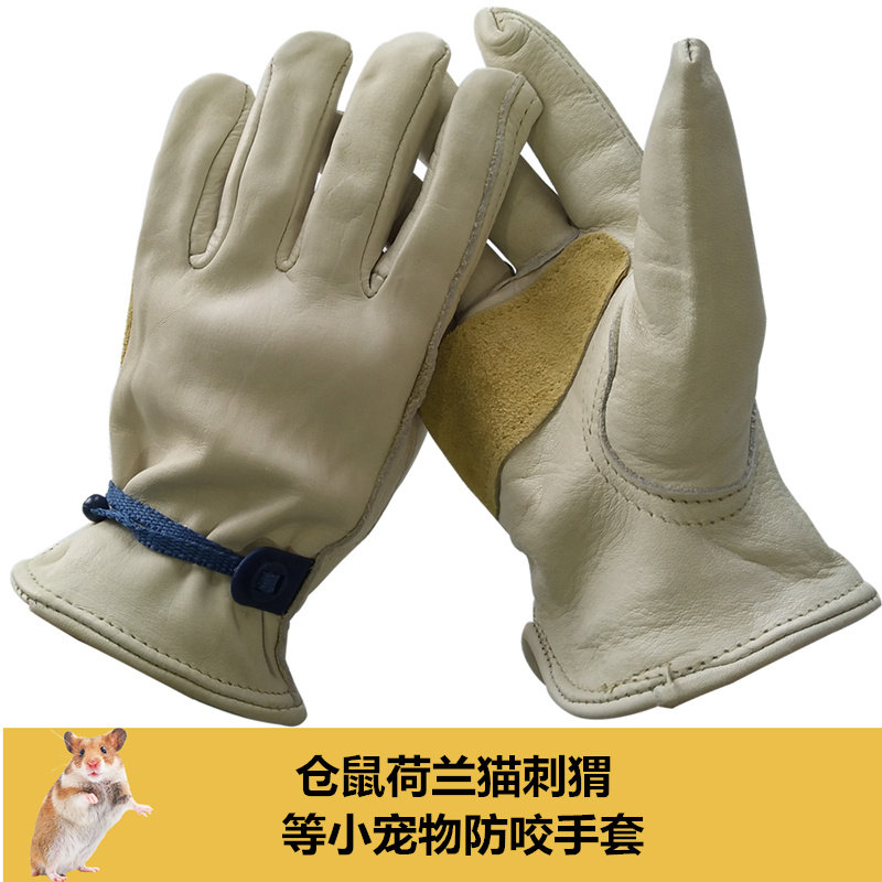 2019仓鼠防咬防护防咬刺猬小宠防扎防咬抓牛皮手套在类目 居家日用, 防护用品, 防护手套中 - 来自Buy2taobao.com提供专业的淘宝代购服务