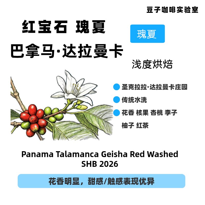 巴拿马瑰夏达拉曼卡庄园红宝石瑰夏咖啡豆水洗手冲咖啡豆浅度烘焙