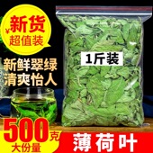 正品 新鲜烘培酒水吧调酒清凉薄荷香囊原材料 薄荷叶干薄荷茶500g