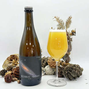 惠同学 Fever风与露/星空领航员/炭之歌/半暗/想象中的雨精酿啤酒