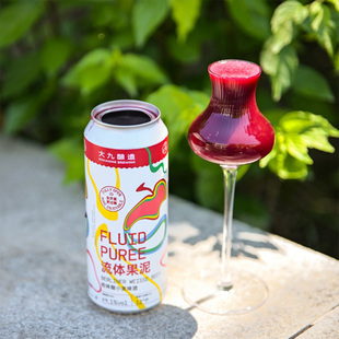 惠同学 大九酿造劝酒果子意想指南流体果泥无量就酱无序 精酿啤酒