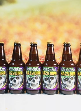 惠同学 迷失海岸紫色幽灵双倍浑浊IPA 美国精酿 临期特价