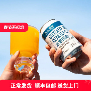 惠同学 国产精酿 大九酿造 意想指南啤酒330ml