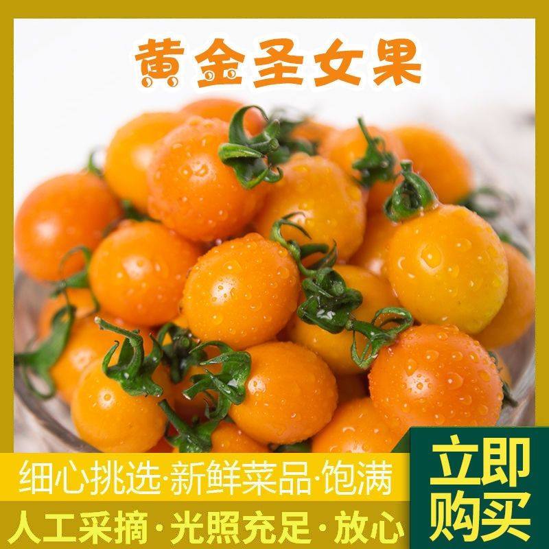 黄色圣女果5斤新鲜小番茄西红柿孕妇宝宝水果千禧圣女果冰糖葫芦,水产肉类/新鲜蔬果/熟食,番茄,淘宝优惠券,粉丝福利购,淘宝优惠卷