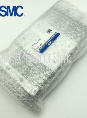 CY1S型磁偶式无杆气缸RMTL/CY1L6-100/200/300/400/500