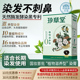 植物调理型染发剂天然黑不异味更温和染发膏焗油膏盖白发不刺激