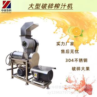 秋月梨苹果去核榨汁机 去渣蔬菜挤汁机 商用工业水果榨汁设备