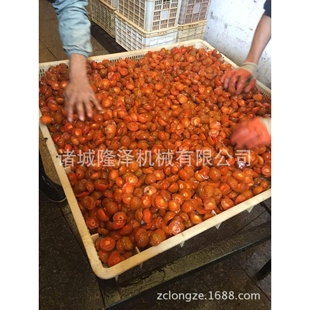 糖渍苹果丁 蜜饯浸糖生产线设备 抽真空锅