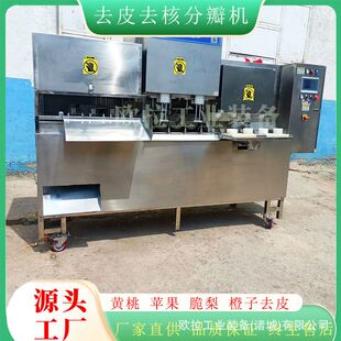 鲜桃子自动清洗上料去皮去核机器 苹果全自动去核加工生产线