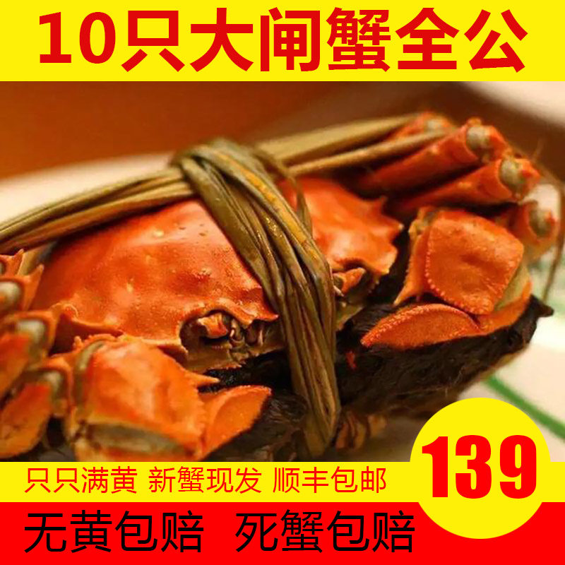 活蟹洪泽湖六月黄全公蟹鲜活螃蟹现货全肥河蟹包邮没黄包赔