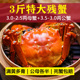 3斤公母断脚蟹特大残蟹鲜活大闸蟹洪泽湖螃蟹水产现货顺丰Ems 包邮