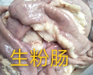 牛副本地新鮮黃牛牛粉甜粉當天現取牛粉腸潮汕火鍋燒烤牛雜店食材