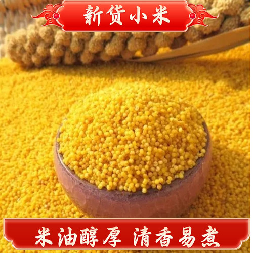 新货小米熬煮粥养胃月子米宝宝米