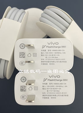 vivoS15e原装66W闪充充电套装