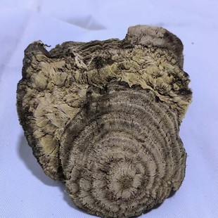 野生柴葛根自然晾晒无硫切块可煮水泡水养生伏牛山野生柴葛根片