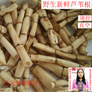 芦根新鲜真空现挖现发芦苇根苇子根另售白茅根天然凉茶野生芦苇根