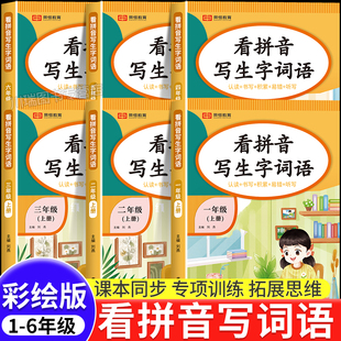 看拼音写词语专项训练一二三四五六年级上册人教版小学语文生字注音组词拼音拼读训练课本同步小学生看拼音写生字词语默写本练习册