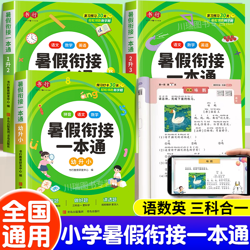暑假衔接一本通幼升小一升二升三