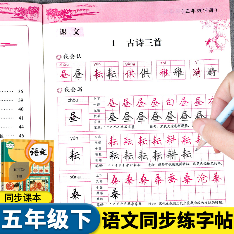 五年级下册语文同步练字帖人教版
