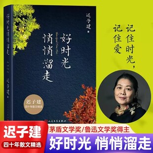作品集四十年散文精选畅销小说茅盾文学奖得主额尔古纳河右岸作者作品现当代文学随笔集散文书籍 迟子建经典 好时光悄悄溜走正版 包邮