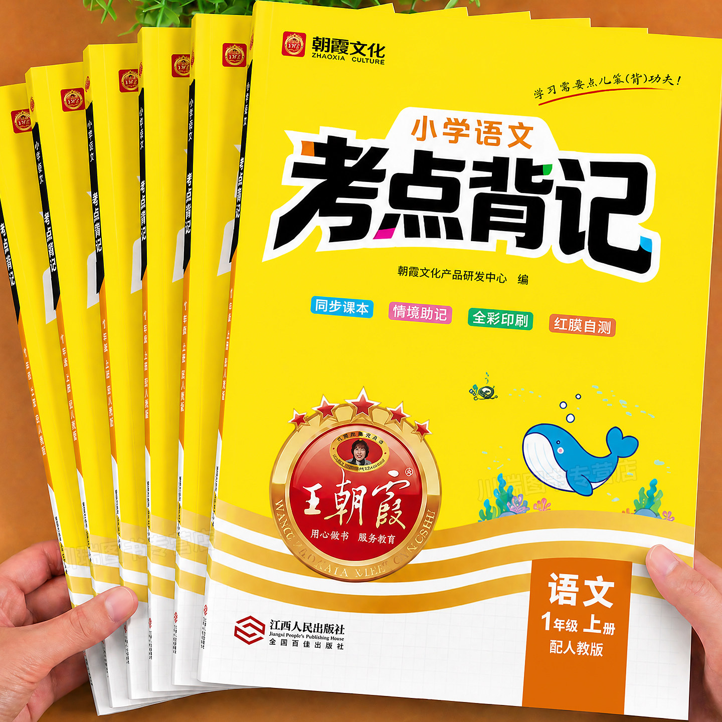 2026王朝霞语文考点背记1-6年级图片