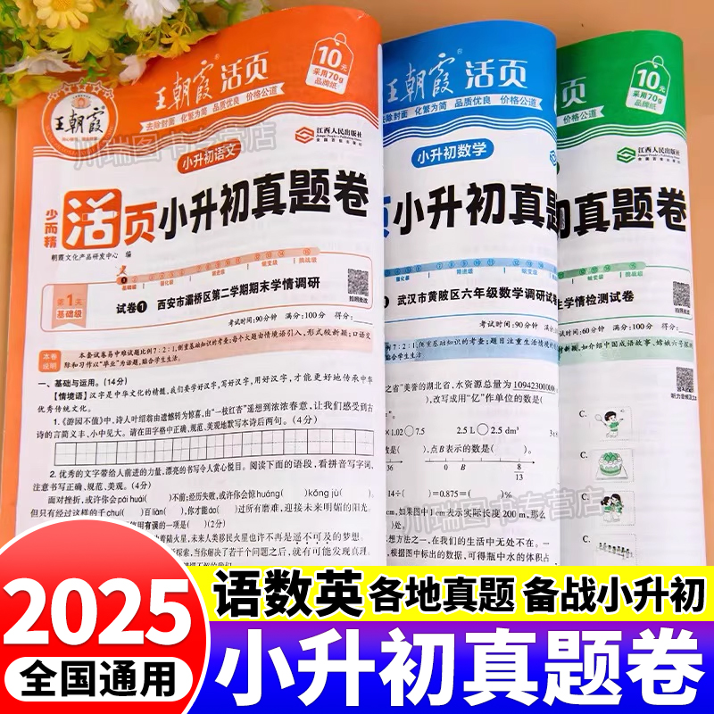 2025王朝霞活页小升初真题模拟卷