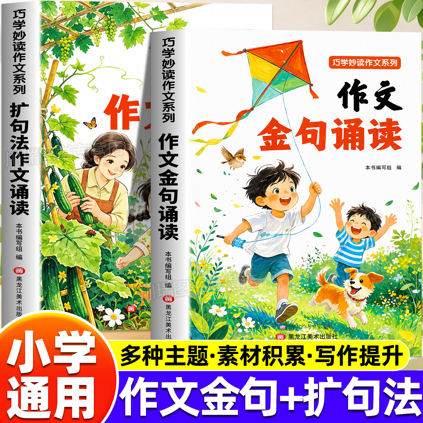 小学语文作文金句诵读扩句法写作文小学生趣味识字写作方法技巧大全一二三四五六年级好句好词好段词语句子素材积累大全写作辅导书