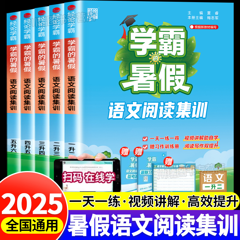 学霸的暑假阅读理解小学1-6年级