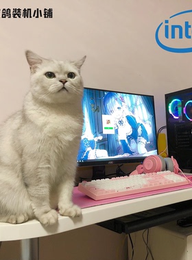 【 Intel系列】敌鸽电脑 鸽鸽电竞 -一台美好的台式机