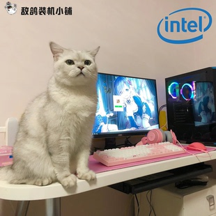 鸽鸽电竞 一台美好 Intel系列 台式 机 敌鸽电脑