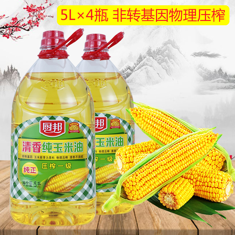 5升厨邦清香纯玉米油一级压榨非转基因家用玉米胚芽家庭装食用油,粮油调味/速食/干货/烘焙,玉米油,淘宝优惠券,粉丝福利购,淘宝优惠卷