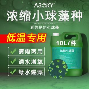 小球藻藻种浓缩绿藻硅藻藻种绿水复合藻种水产养殖鱼缸培养基肥水