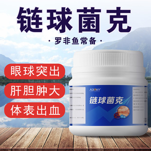 罗非鱼链球菌克链球克星链球速克眼球突出肝脏肿大链球菌水产养殖