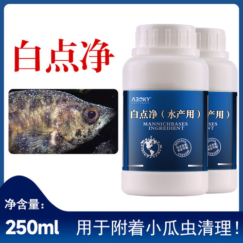 白点净白点病烂鳃烂尾淡海水养殖