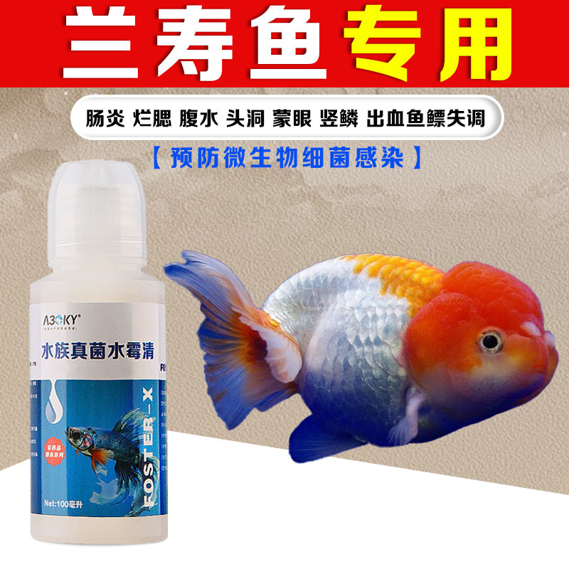 兰寿鱼药水霉白点腐皮烂身鱼缸用
