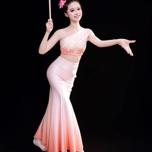 儿童彩云之南傣族舞蹈演出服鱼尾孔雀舞表演服飘逸成人女艺考舞裙