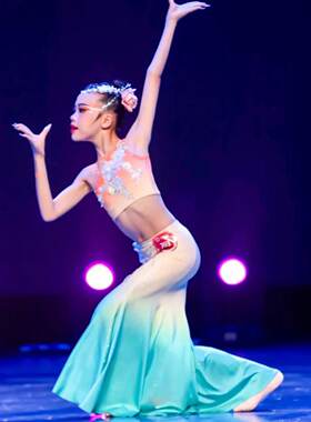 春述傣族演出服少儿群舞练功服民族舞艺考比赛表演服孔雀舞鱼尾裙