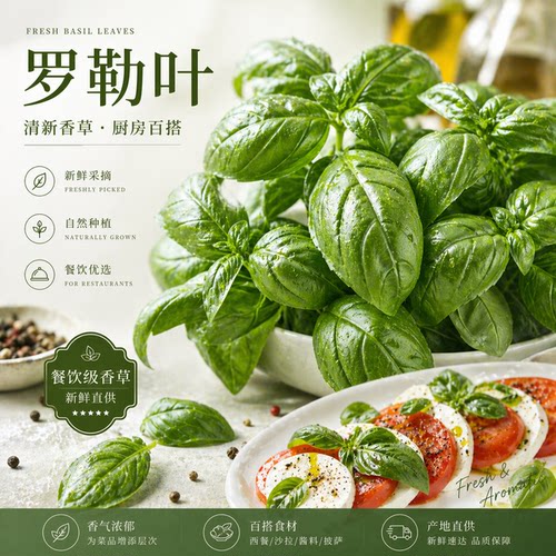 甜罗勒西餐食材摆盘装饰