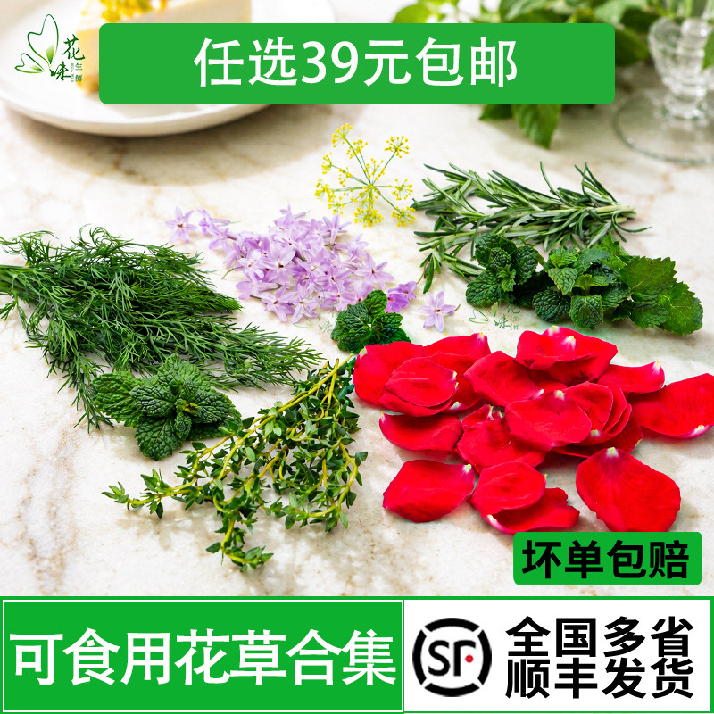 可食用蛋糕装饰鲜花草套餐迷迭香薄荷莳萝荷兰芹玫瑰烘焙摆盘合集